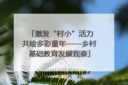 激发“村小”活力 共绘多彩童年——乡村基础教育发展观察